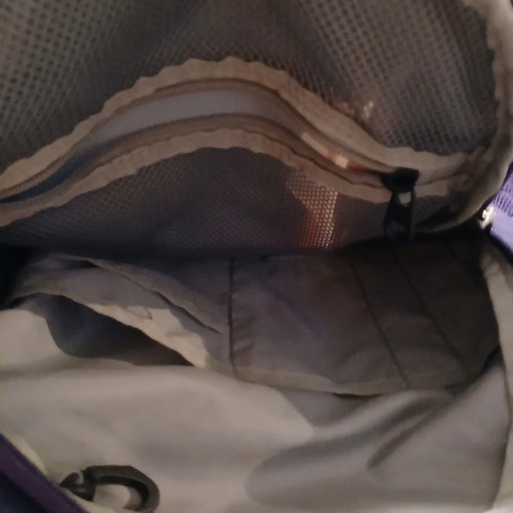 Magellan Outdoors Blue and Purple  Backpack with Structured Design. Very Nice!!